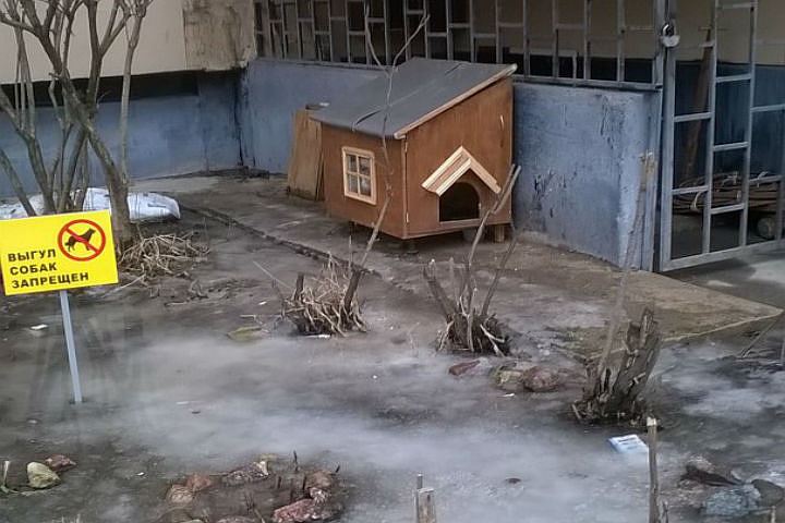 теплые домики для бездомных котов в россии