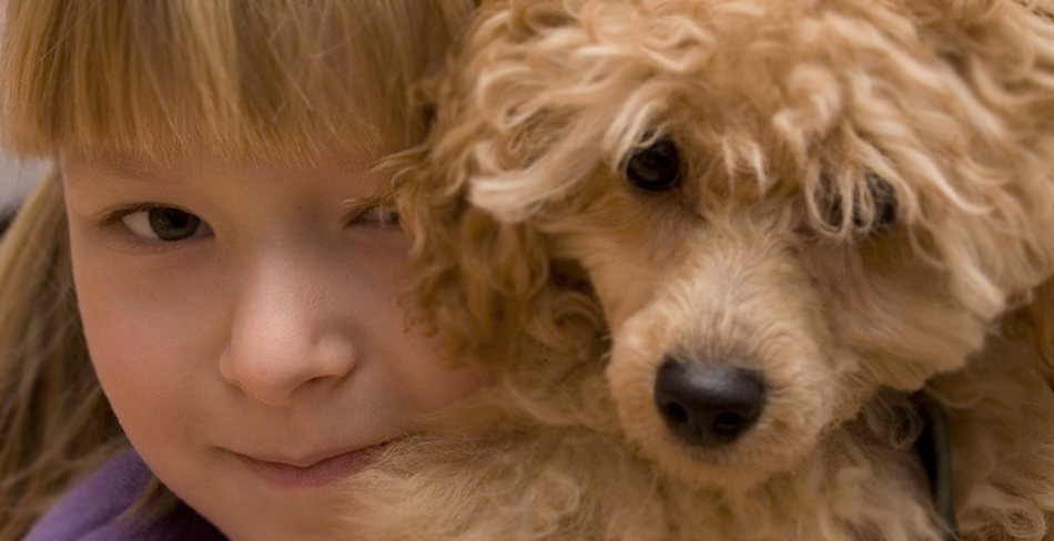 Ребенок и собака фото