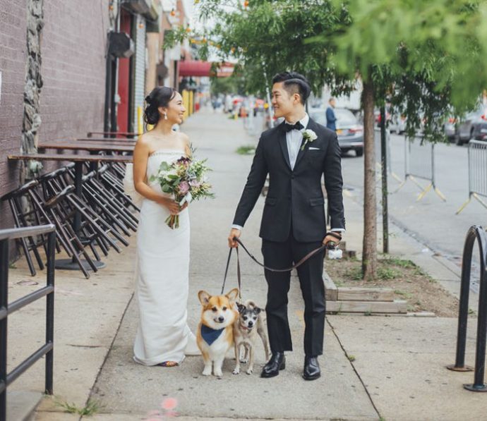 собака, собаки,свадьба с собаками,невеста,жених