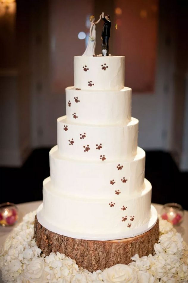 свадьба,торт,свадебный торт,жених,невеста,лапы,