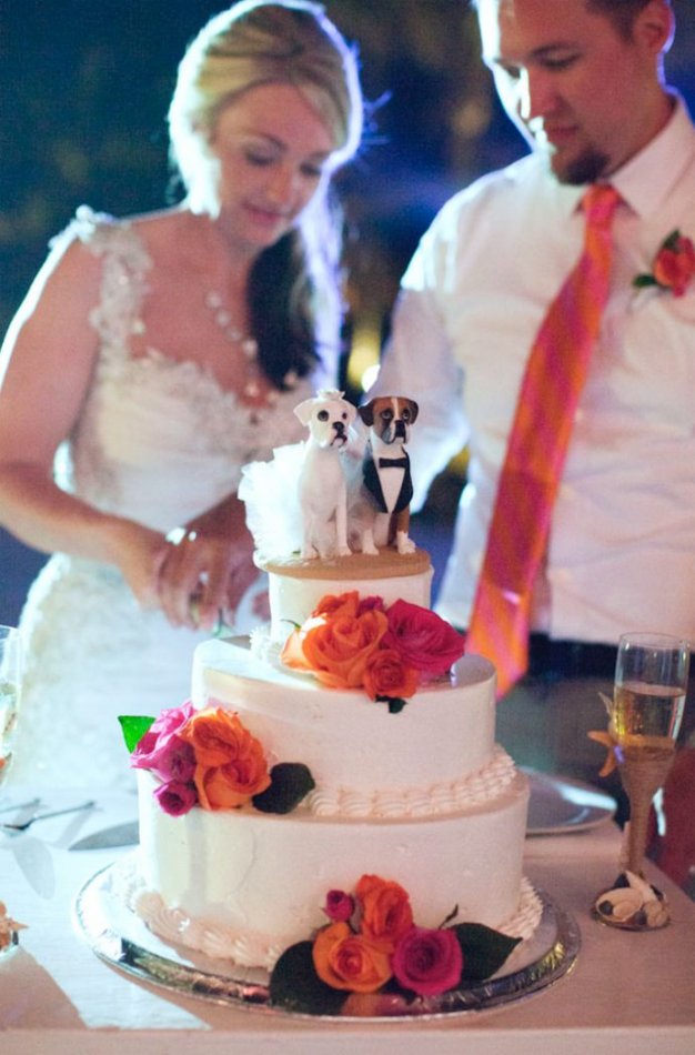 свадьба,торт,свадьба,жених,невеста,розы