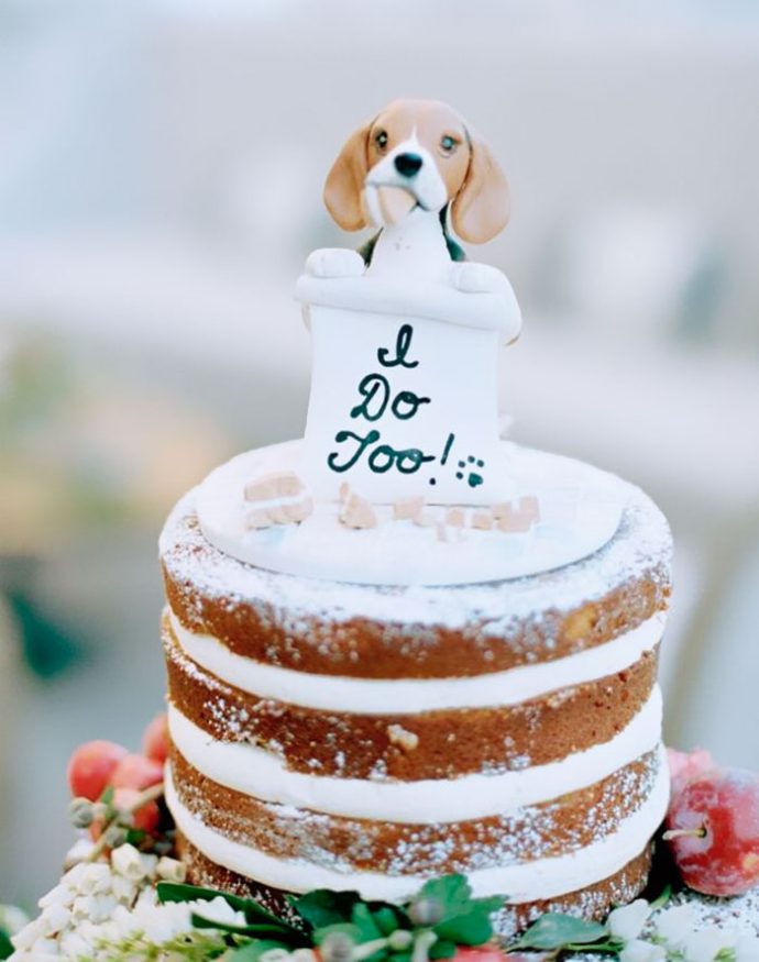 собака,торт,свадебный торт,праздник,собака