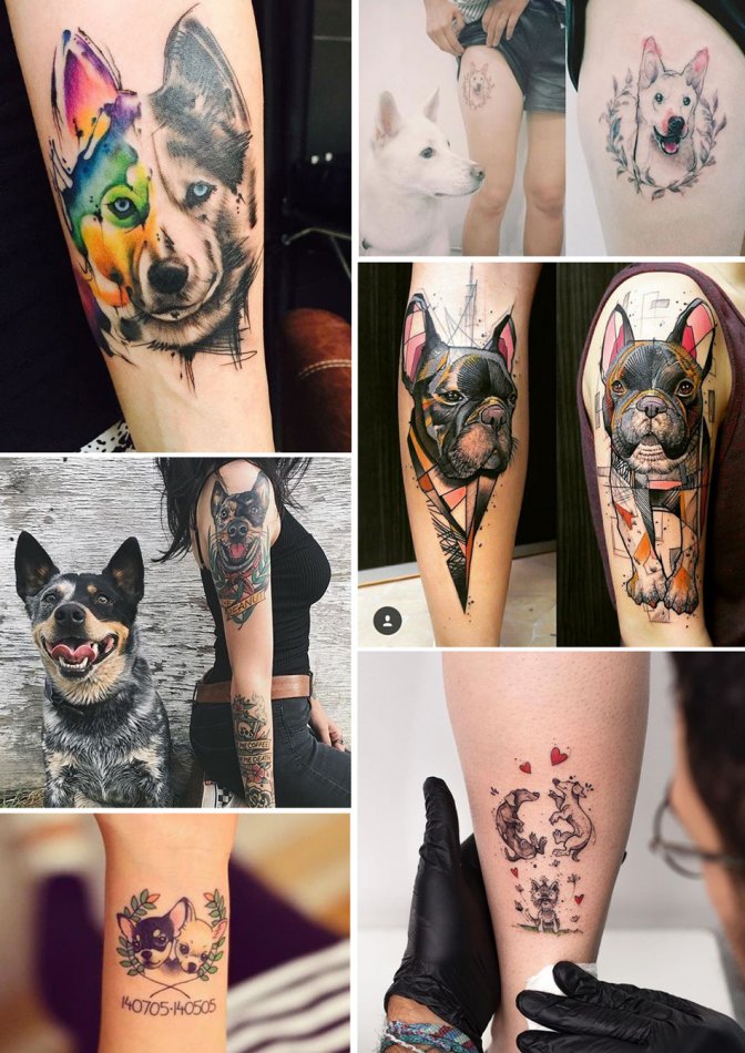 Татуировки собак в разных стилях