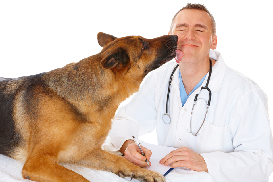ветеринар и собака