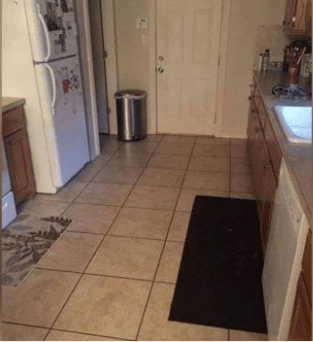 кухня, холодильник, плита, ведро, дверь, собака на коврике