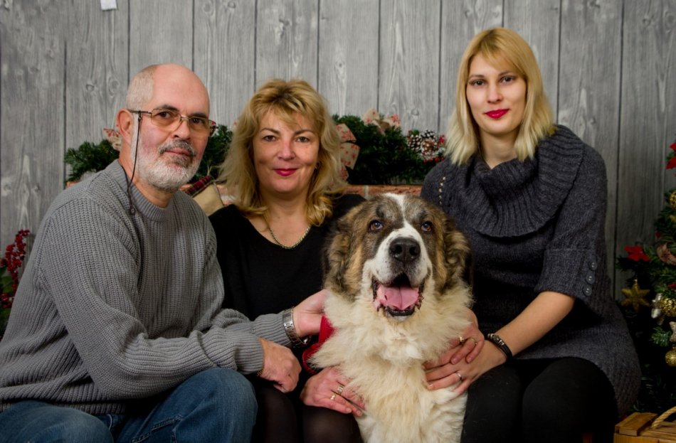 Собака в семье фото