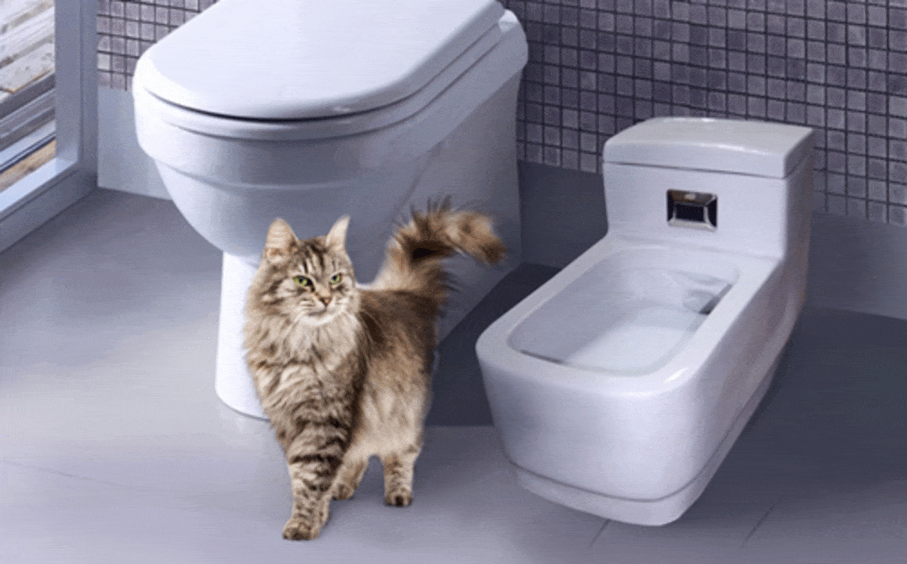 Just pet. Catgenie 120. Автоматический кошачий туалет catgenie. Автоматический кошачий туалет Kopfgescheit. Кошачий унитаз Kopfgescheit kg7010.