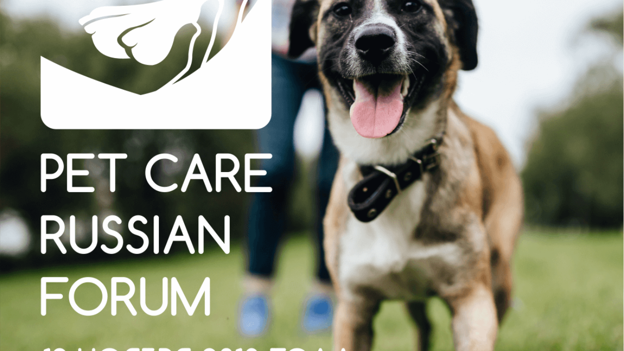 PET CARE RUSSIAN FORUM - Wikipet