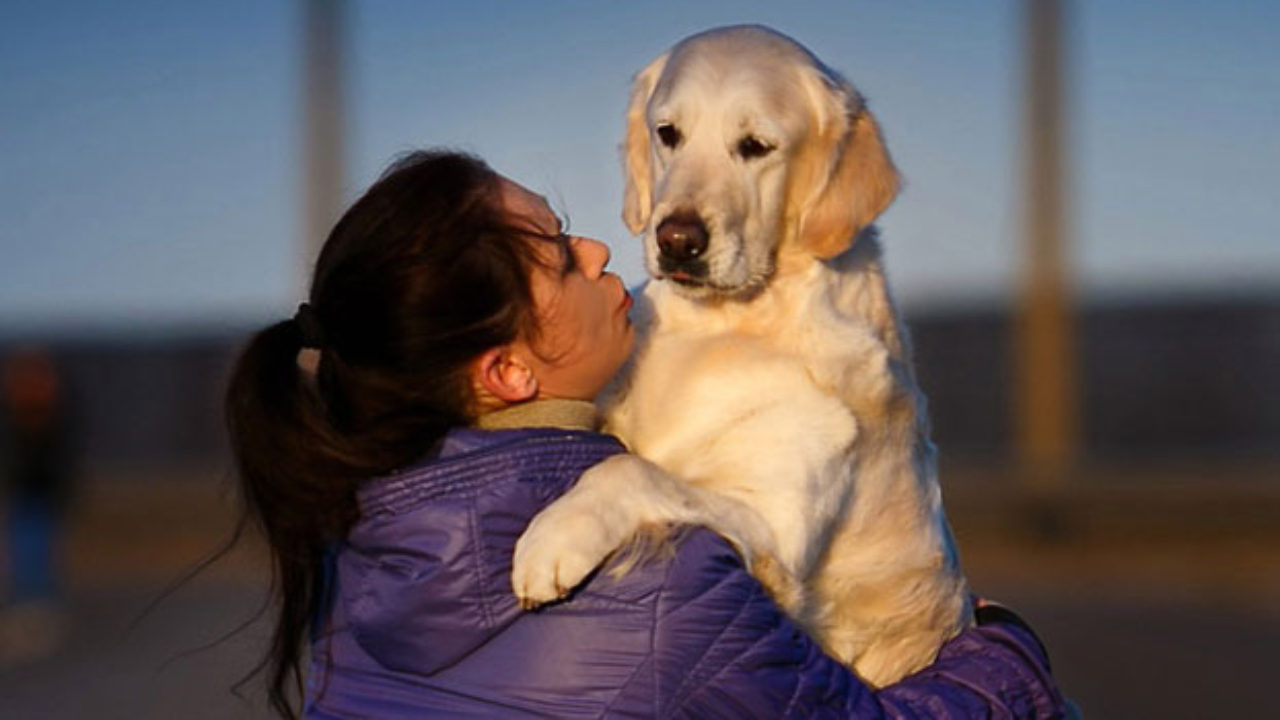 4 простых способа показать собаке вашу любовь WikiPet.ru