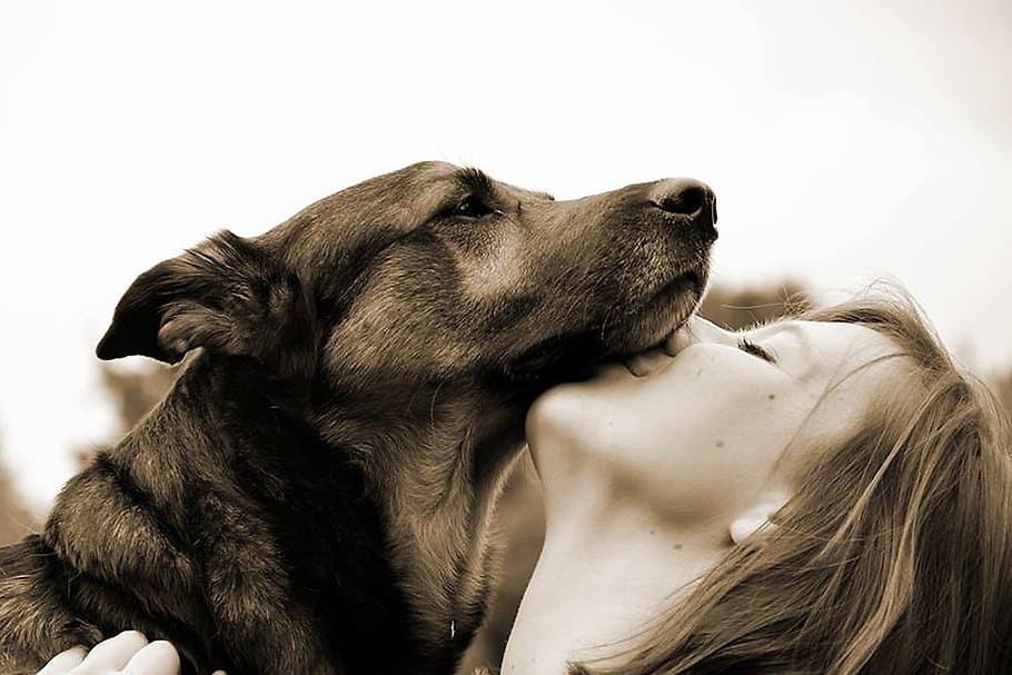 Девушка целует собаку черно-белое фото